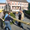 Maibaum04