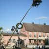 Maibaum06