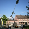 Maibaum07